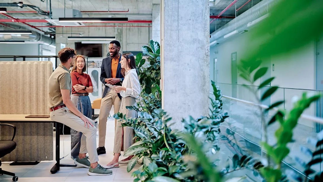 People discussing in office sustainability